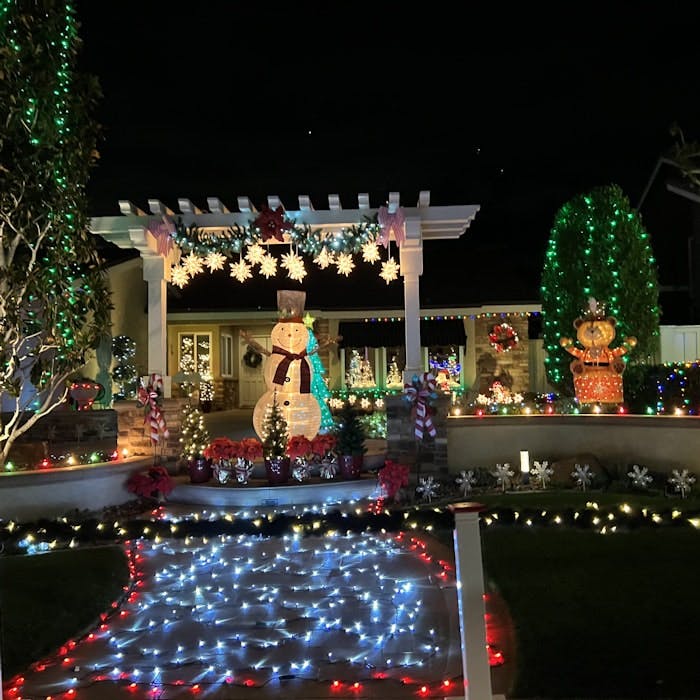 Img: lighting, christmas, christmas decorations, festival, person, christmas tree