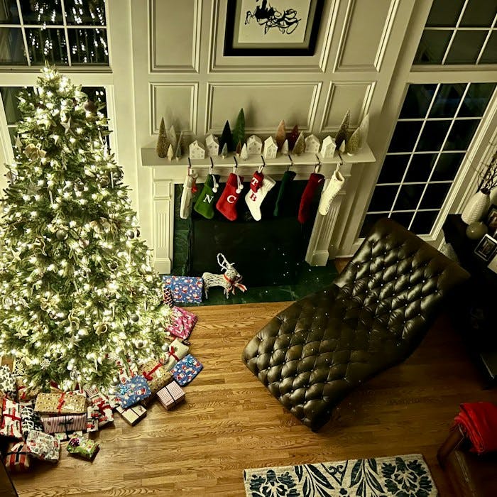 Img: furniture, living room, room, christmas, christmas decorations, festival, couch, christmas tree, handbag, plant