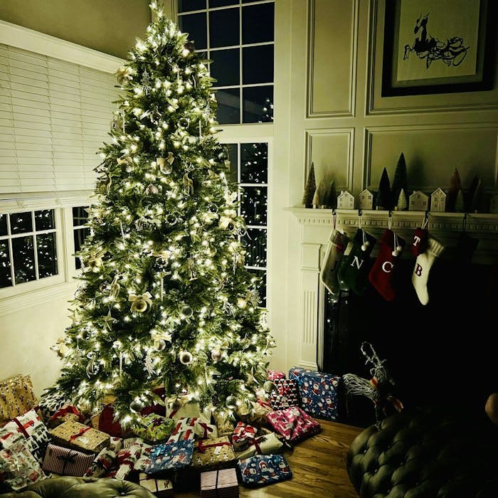 Img: furniture, living room, room, couch, handbag, christmas, christmas decorations, festival, tree, christmas tree