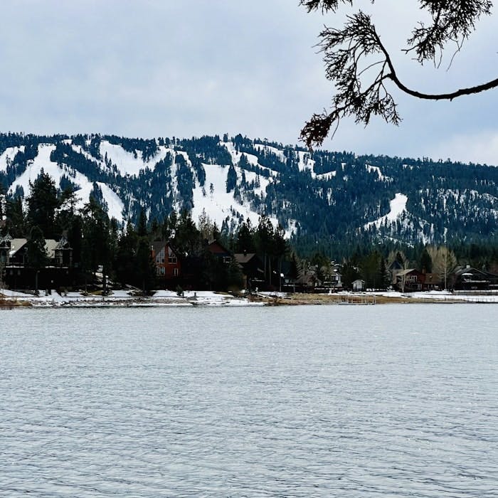 Img: plant, tree, fir, nature, outdoors, scenery, conifer, lake, water