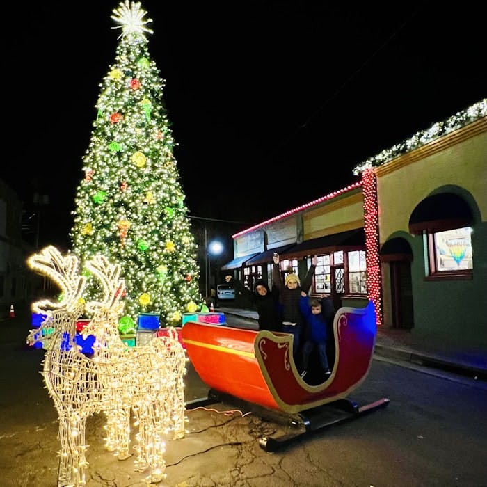 Img: christmas, christmas decorations, festival, christmas tree, person, car, transportation, vehicle