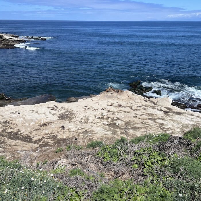 Img: nature, outdoors, promontory, water, sea, scenery, land, sea waves, rock, bird