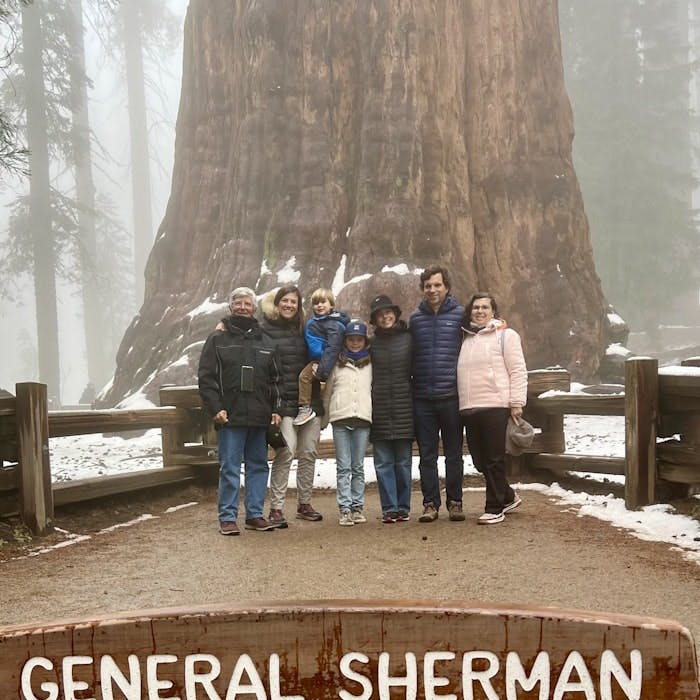 Img: tree, pants, grove, vegetation, woodland, jeans, park, person, shoe, man