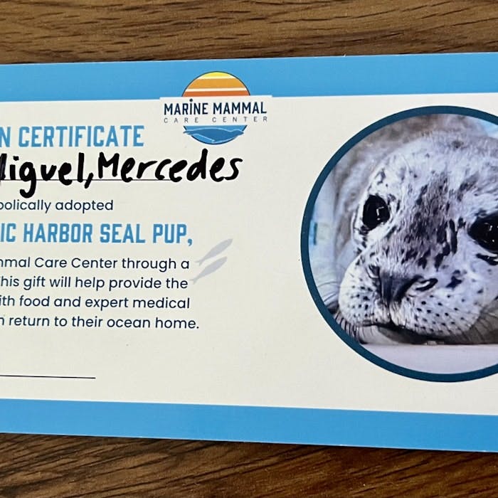 Img: advertisement, poster, business card, text, animal, mammal, sea life, seal, dog, pet