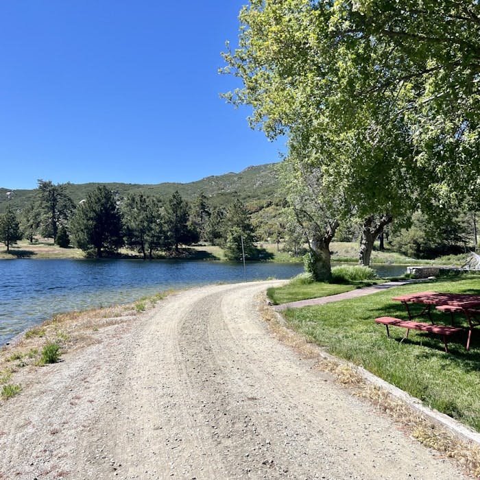 Img: nature, outdoors, scenery, gravel, road, bench, summer, desk, tree, lakefront