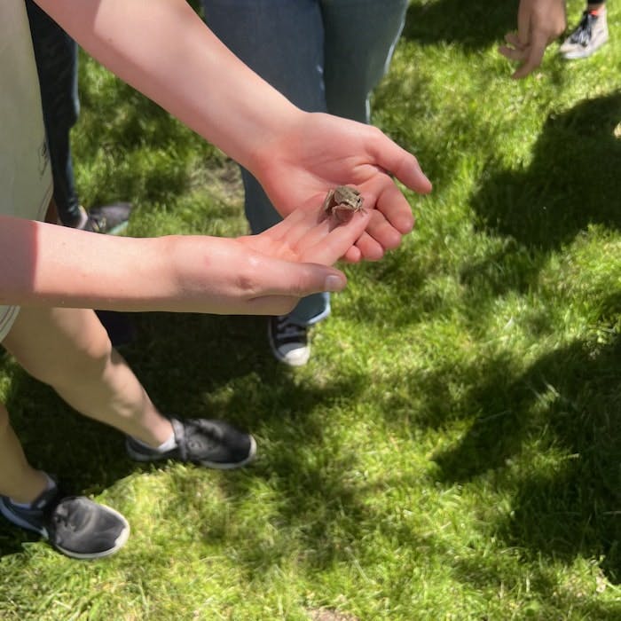 Img: grass, plant, body part, finger, hand, person, clothing, footwear, shoe, lawn