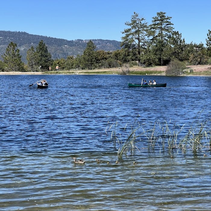 Img: nature, outdoors, scenery, lake, water, boat, tree, land, fir, person