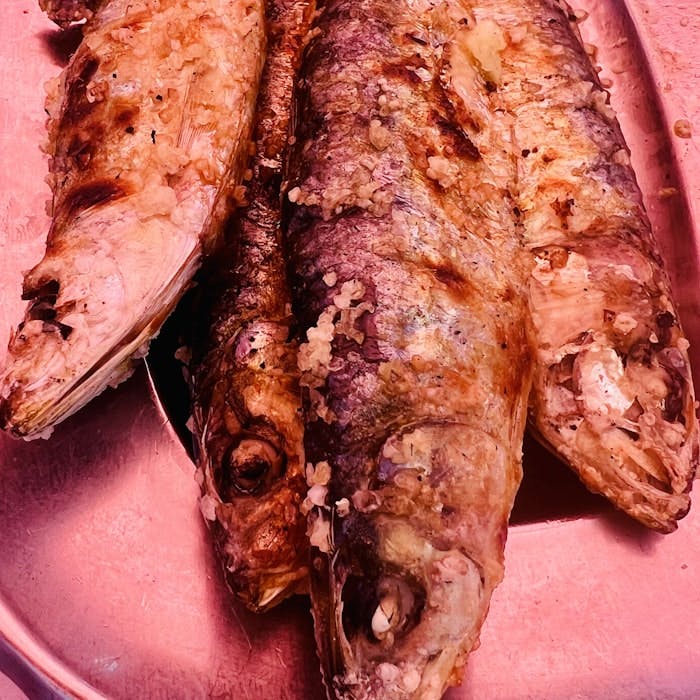 Img: food, meat, pork, animal, fish, herring, sea life